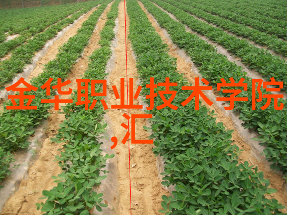 寒冷的火焰低温等离子体技术的医疗革命