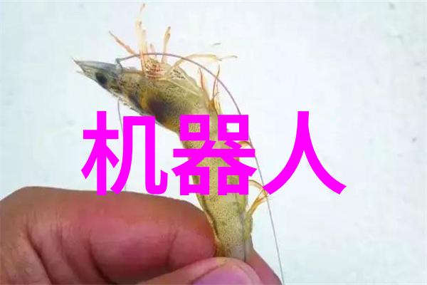 1. 什么是丝网填料阻力以及它在工业中的应用场景