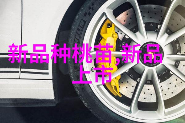 1012对辊制砂机-高效粉碎1012对辊制砂机的运作原理与应用