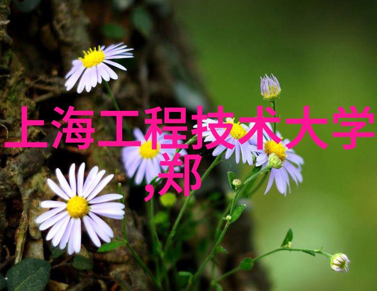 制药用气设备 - 精确控制探索高效的制药用气设备技术