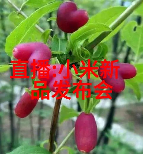 制冷设备有限公司专业的冷链解决方案提供商