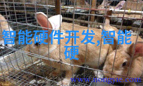 amd芯片组-AMD芯片组新一代性能提升与创新应用探索