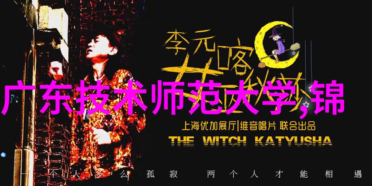 电子科技大学陈建文大数据如同神话完美的幻影现实世界是小数据的细腻绘画投资计划书和可行性研究报告在这场