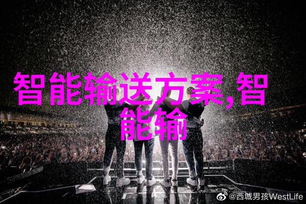 洞察消费揭秘市场调研的奥秘
