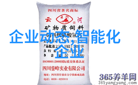 铝塑铝泡罩包装机 装盒机食品
