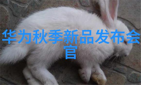 工业互联网之谜中国研究院的秘密计划