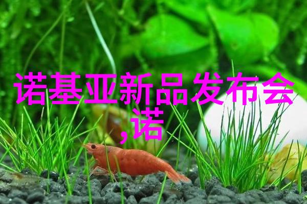 梁医生不可以书包网健康生活的智慧选择