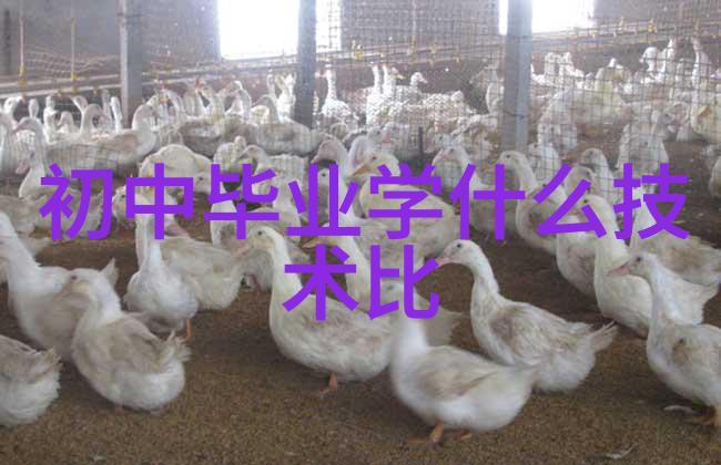 智能手机存储技术的发展历程