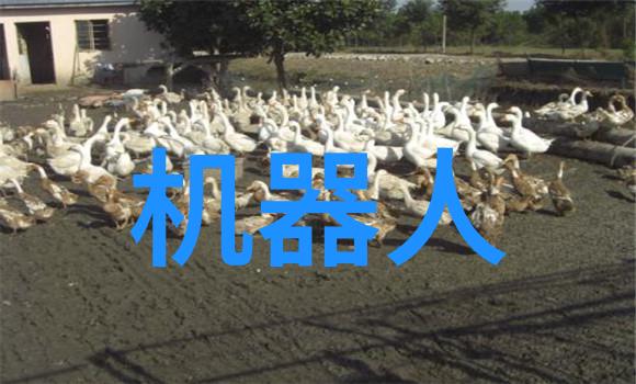 智能化方案未来如何让我们的生活更加便捷