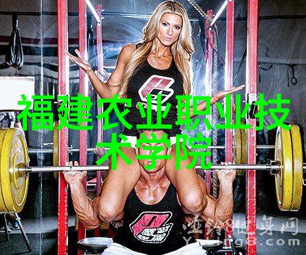 小型工厂用途适合中小企业使用的小型破碎机模型和规格说明