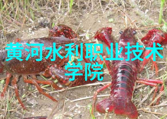 低温等离子体灭菌技术新时代的无害化处理革命