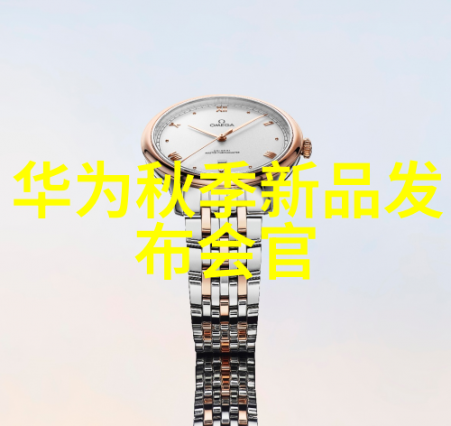 双锥回转真空干燥机高效干燥技术的应用