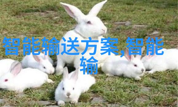 小商品批发市场在哪里老张我知道