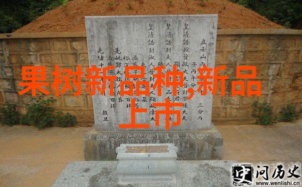 常州废气处理环保公司的DDF大型袋式反吹袋式除尘器确实是一款高效的空气净化设备它不仅能够有效地捕捉到