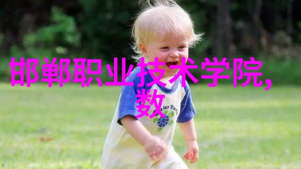 密室里的工作汇报揭秘成功项目背后的谜团