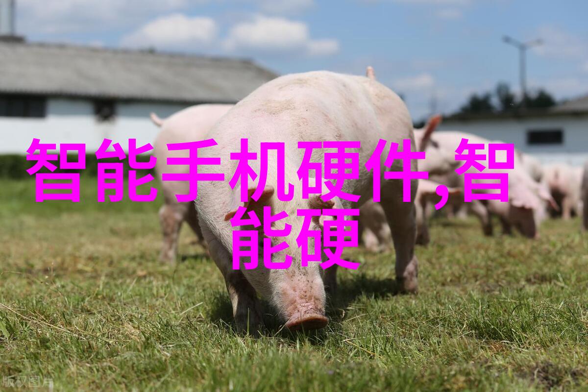 郑州工程技术学院-工技精英郑州工程技术学院的学术与实践探索