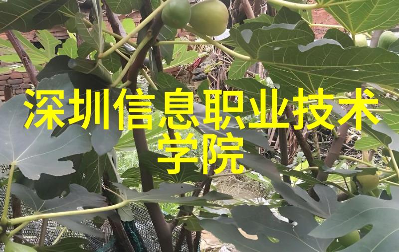 董明珠透露格力人已有人选具体是谁仍保密