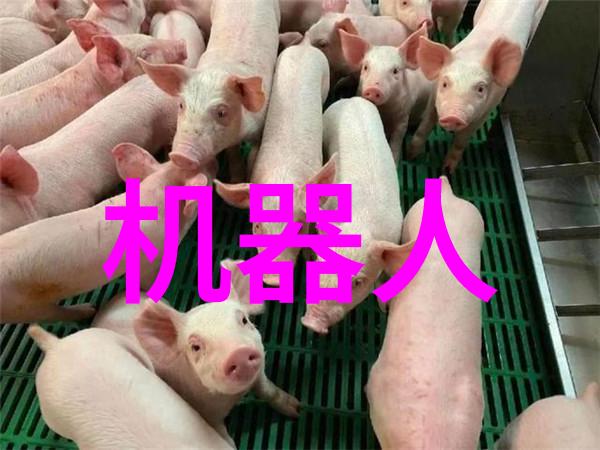 智造未来专科智能制造装备的革命性突破