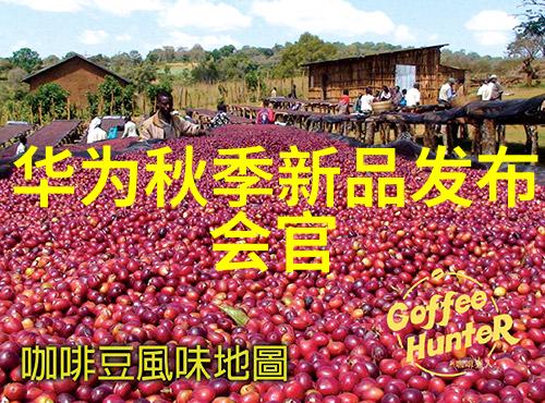 零部件构建与崩塌的微观世界