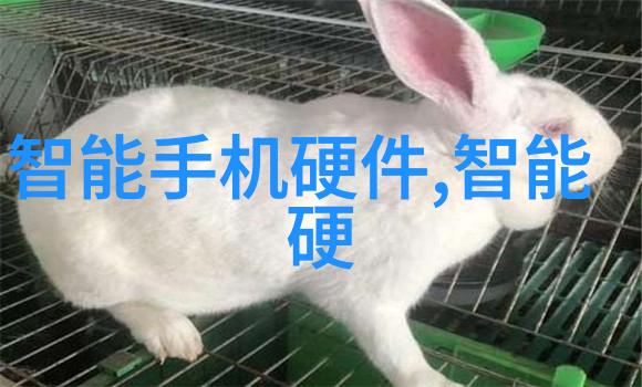 财经智库学术前沿江西财经大学研究生院的学术氛围