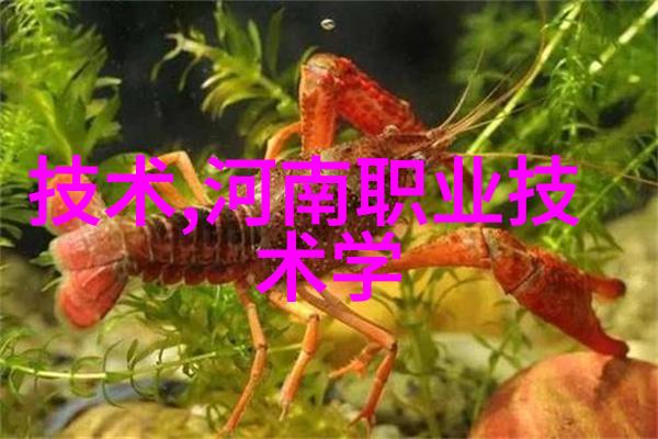 智能穿戴技术追求健康与便捷的新生活方式