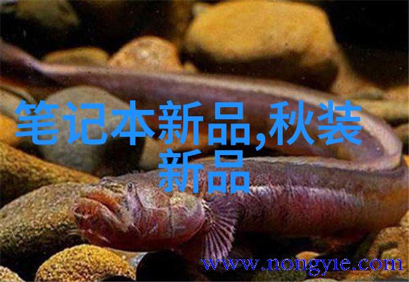 芯片的制作流程及原理-从设计到封装揭秘半导体芯片的制造奥秘