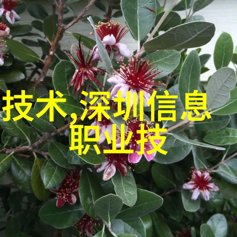 校园车多肉多的1V2-校园里的神秘植物之争一对二的逆袭