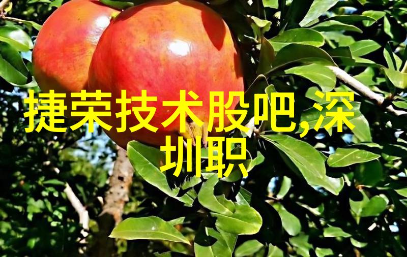 如何正确操作和管理家庭用排泄物收集罐