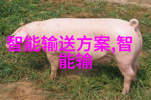 深圳地区前十名芯片制造商概览