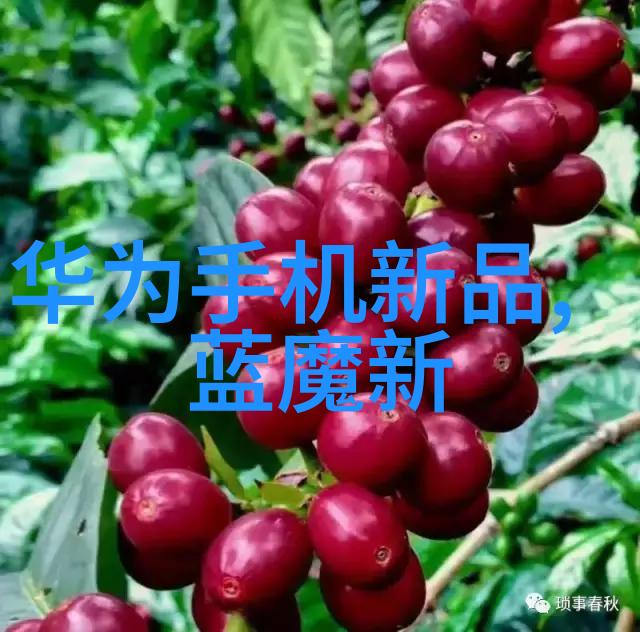 PE排水管材厂家-高质量PE排水管材的选择与应用指导
