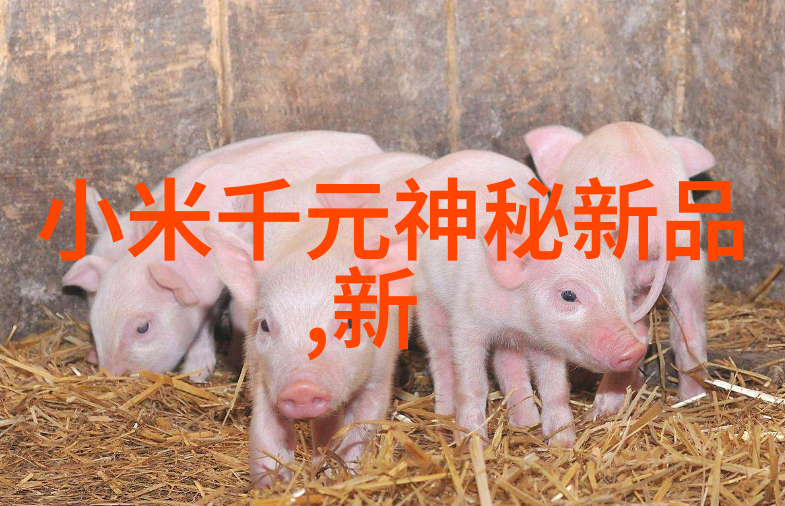 如何平衡私车与公共交通在大连智能交通中的角色分配