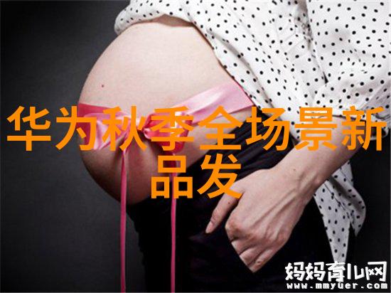 春运之路上智能交通市场的守护者安防技术如同一位忠实的指南针为返乡难途人指明方向努力打通拥挤的人潮