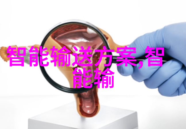 燃烧前夕褐煤干燥设备的技术探索