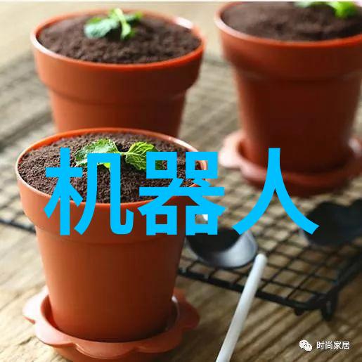 江苏财经职业技术学院的国际合作项目是什么样的