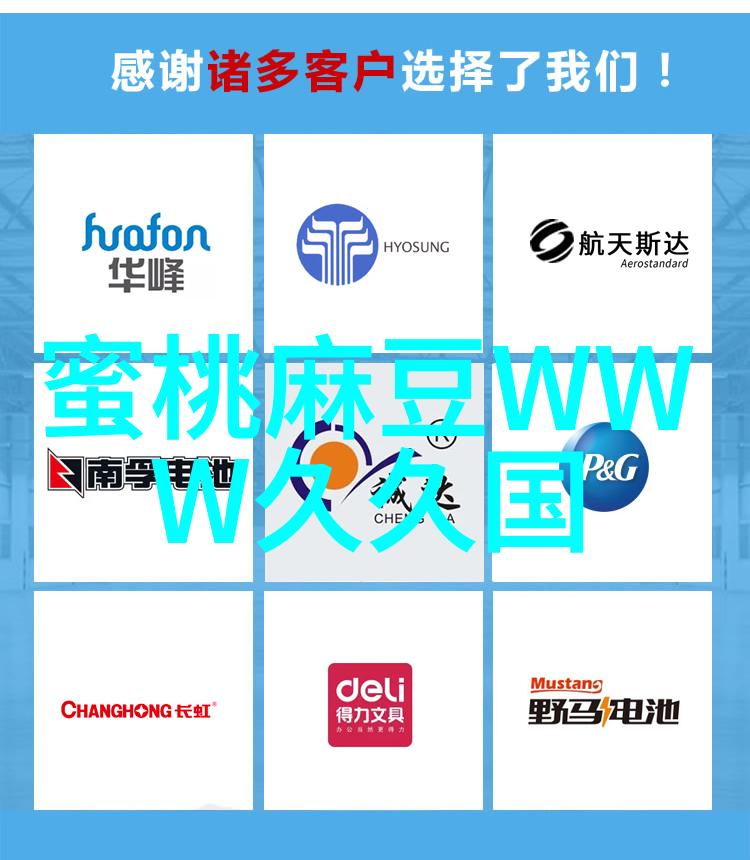 构建新时代的经济体全国统一大市场的征程与挑战