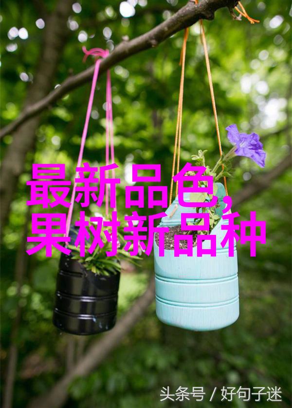 喷漆房废气处理设备生产厂家绿色环保的工艺创新者