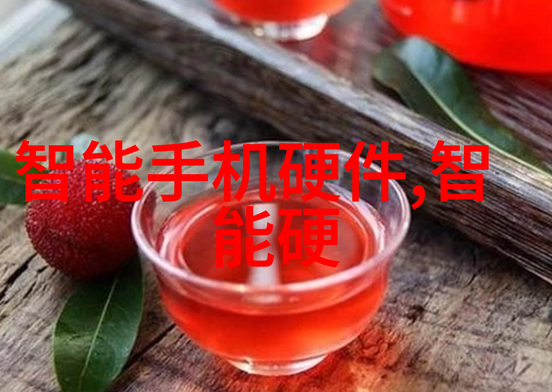 圣诞老人的欢乐之旅