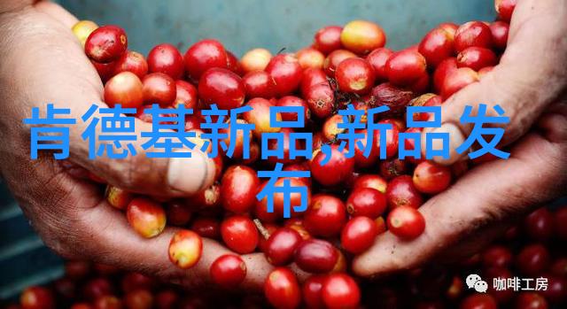 高纯度生产的关键化工洁净室设备的选择与应用