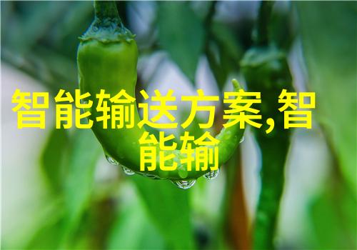 我的日常小伙伴筛选机帮我一网打尽所有杂物
