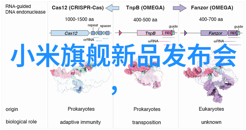 山东财经大学东方学院我在这里的故事从一名新生到校园的小探索者