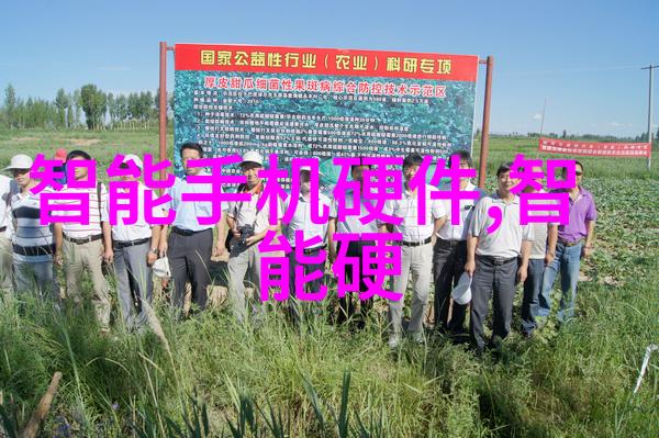 丰收盛宴农贸市场的鲜美与活力