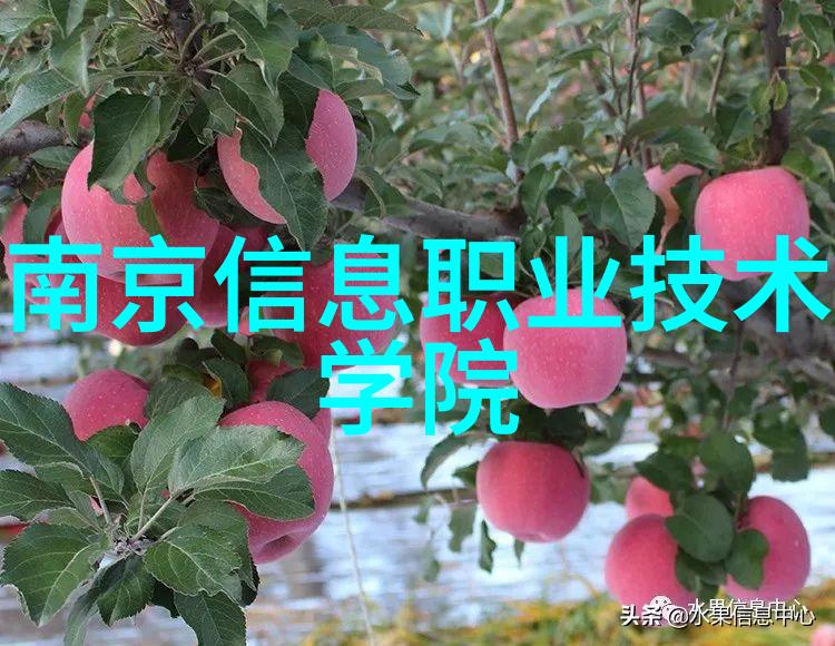 穿越未来未知的健康守护者解锁可穿戴医疗设备的神秘面纱