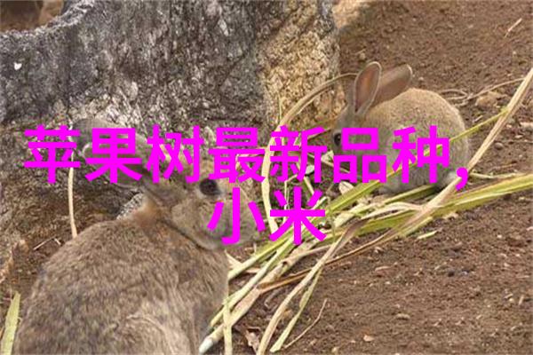 清洁能源的新希望高效制氢技术的发展与应用