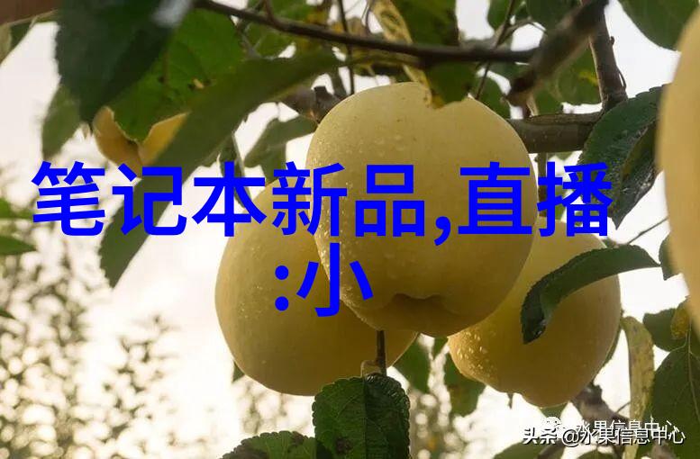 乘坐公交车的意外之旅从平凡到高C月的一年