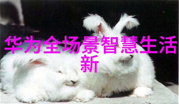 干燥大师氯化钙的脱水奇遇