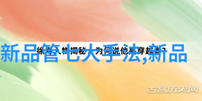 中学生技术选项未来前沿技能的探索