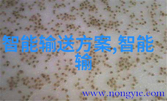 油水分离器使用指南正确操作技巧与维护秘诀