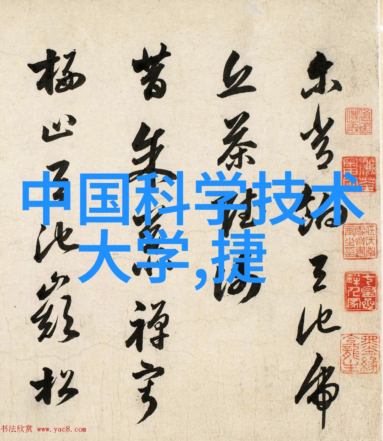 他顶着那一个点作为主题的探索
