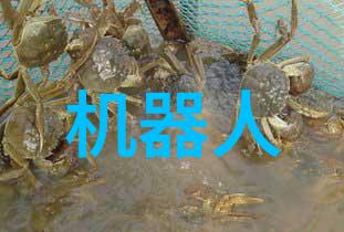 Oppo新款手机拍照如此好到让你不再担心自拍时机直接等着照片自动发朋友圈吧