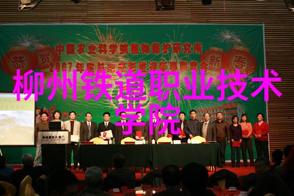 不辞冰雪为卿热txt下载古风情调的爱情小说免费阅读